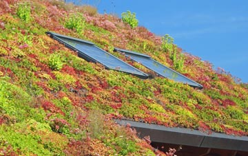 Rusthall living roof systems